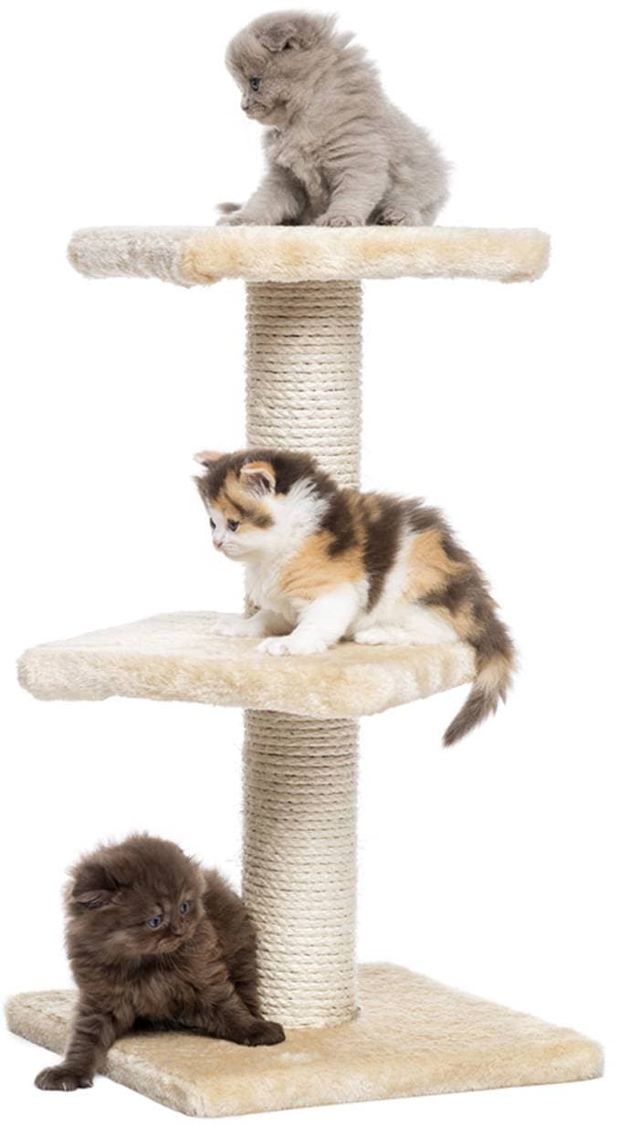 Accessoires pour animaux