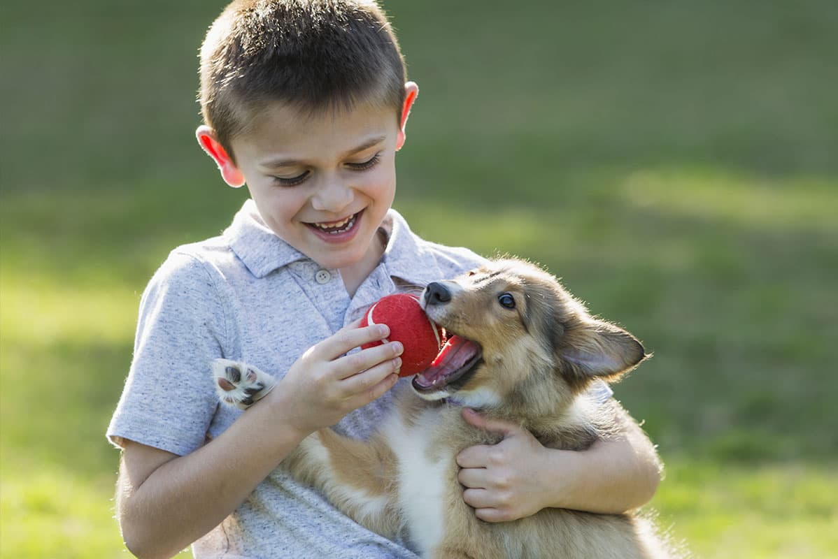 Jouets et autres