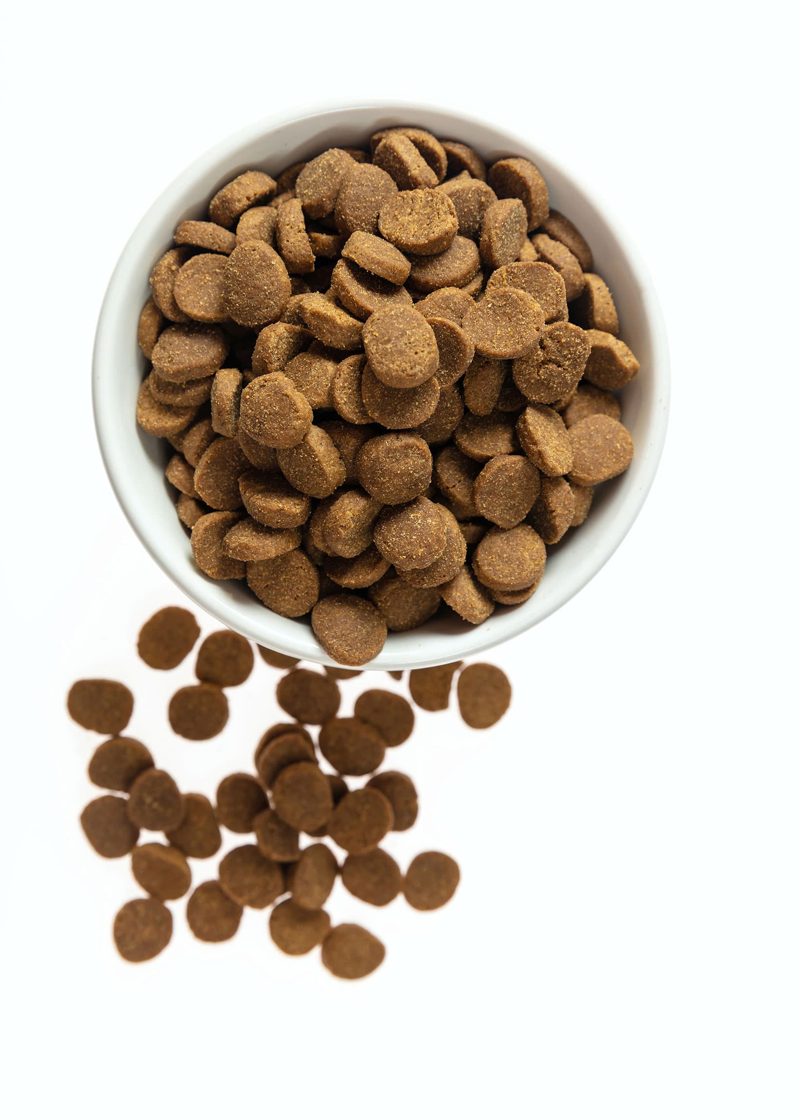 Nourriture pour animaux